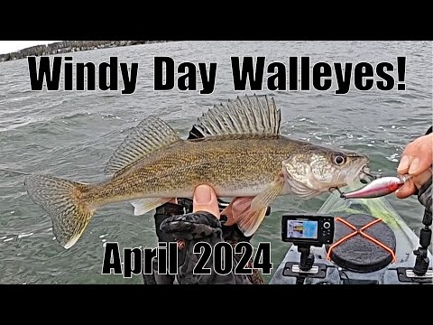 Indiana Kayak Fishing: Windy Day Walleyes 4/20/24