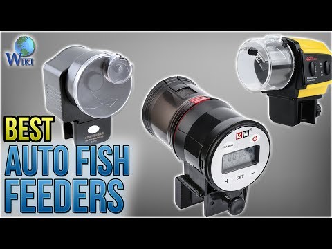 Automatic Fish Feeder At Best Price In India