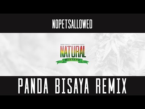 Nopetsallowed -  Panda Bisaya Remix