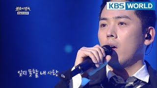 Kim Yongjin - Love Like a Sad Picture | 김용진 - 슬픈 그림 같은 사랑 [Immortal Songs 2 / 2018.02.10]