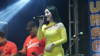Download lagu PETUALANG CINTA Cover Lala Widy Live JURAGAN Musik // Original by Hamdan ATT mp3