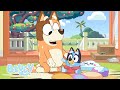 It S A Baby Race Full Episode Season 2 Bluey
