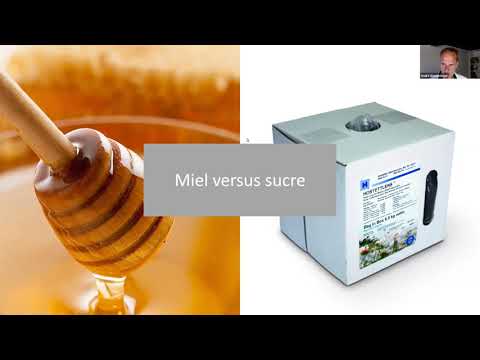 FreeTheBees : Abeilles sans frontières Nourrir ou pas