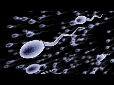 At-home device lets men track sperm count