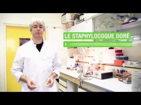 comment guerir septicemie