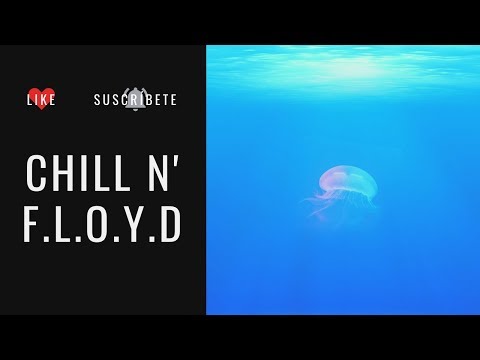 F.L.O.Y.D a Chillout Experience Full Album