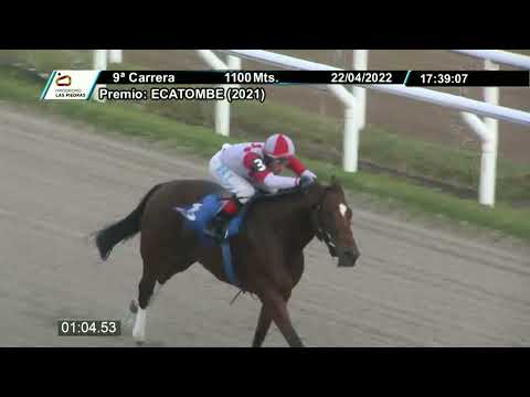 220422 c09 - AFRICAN QUEEN - HIPODROMO LAS PIEDRAS