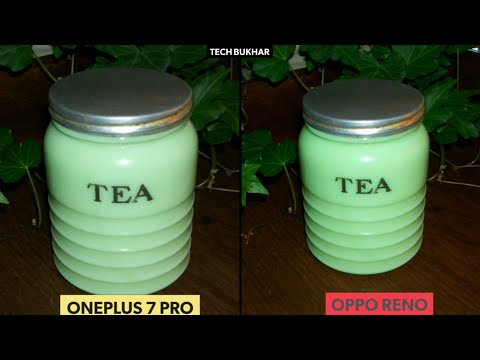 Oppo Reno 10X Zoom vs Oneplus 7 Pro Camera Comparison || #oneplus7pro, #OppoReno, #OPPOReno10XZoom