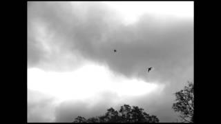 Winchester Blindside slow motion: Gel, Clays, Waterfowl Hunting