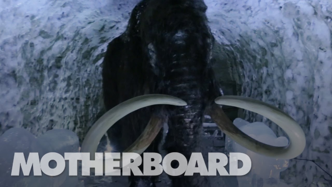 Cloning the Woolly Mammoth