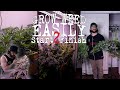 THE EASIEST WAY TO GROW ORGANIC WEED FULL PROCESS EXPLAINED JUST ADD WATER CRAZY TRANSFORMATION