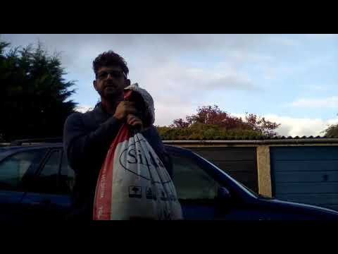 Worm farming + Italian worms