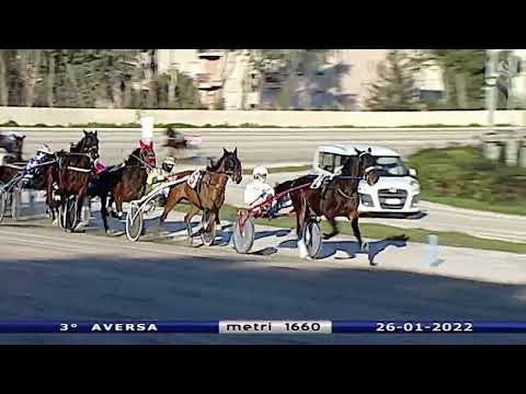 Aversa trotto 26 Gennaio 2022 - 3° Corsa