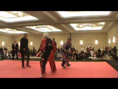 2013 Twin Tower Classics International  Martial Arts Championships