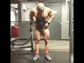 Daniel Sticco IFBB Last legs workout before Arnold Classic Europe