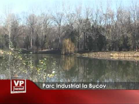 Parc industrial la Bucov