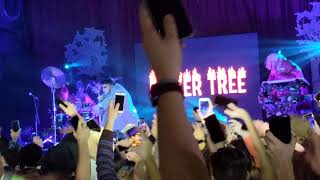 Oliver Tree - Introspective (Live)