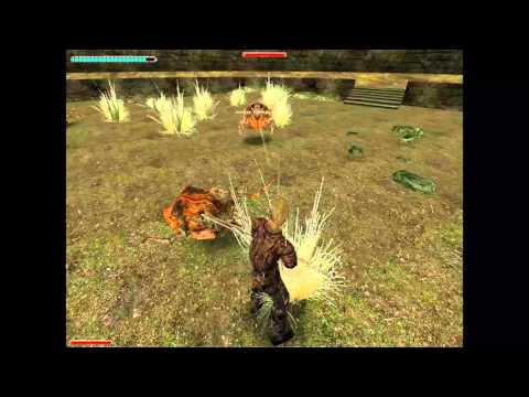 Let's Play Gothic 2 Mods: 63 - Waldläufer Part 1 - HUAEGH