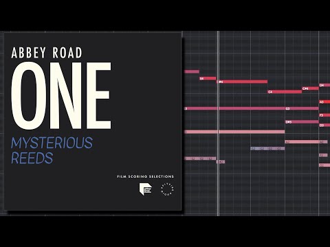 Abbey Road One: Mysterious Reeds Demo | Santiago Bianchi