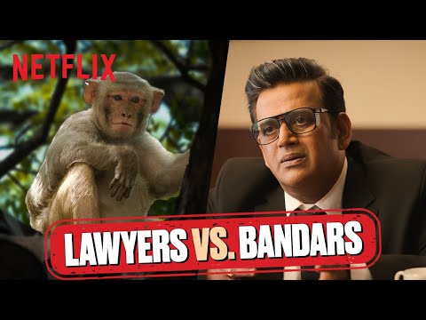 Monkeys ATTACK Lawyers 🤣 Ravi Kishan & Gang’s FUNNIEST Solution | Maamla Legal Hai | Netflix India