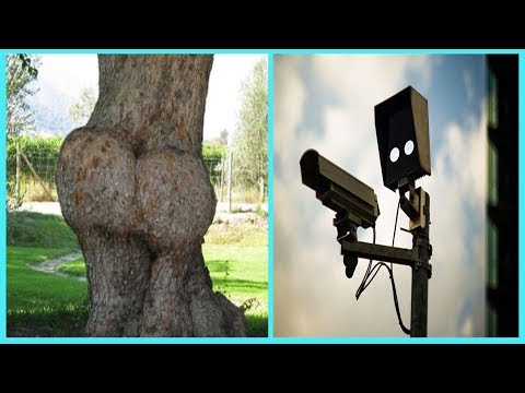 Funny Examples Of Pareidolia In Everyday Objects