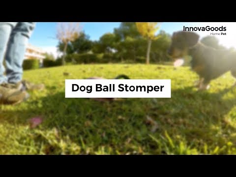 InnovaGoods Home Pet Dog Ball Stomper