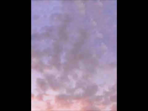 Am uitat să mai fim oameni-Vescan (lyrics video)