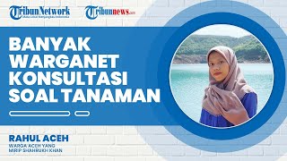 Seusai Konten Hidroponik Ala Anak Kos Viral di Media Sosial, Ikrima Tuai Permintaan Konsultasi