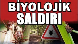NEREDEN GELDİ BU KENELER?