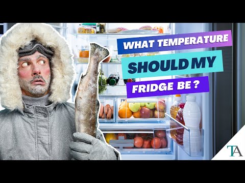 What Temperature Should My Fridge Be? The Ideal Refrigerator Temperature