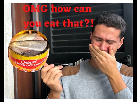 SURSTRÖMMING - The Swedish delicacy!