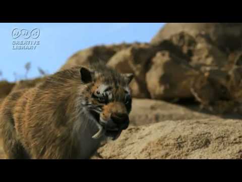 ティラコスミルスとスミロドン