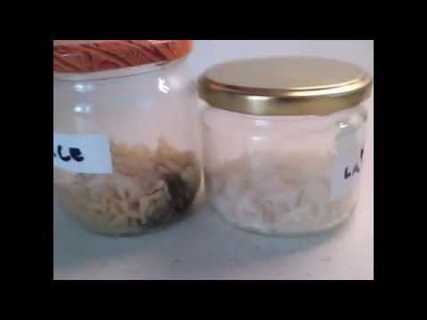 Experiment: Rice vs Mind