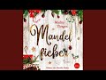 Kapitel 8.2 - Mandelfieber