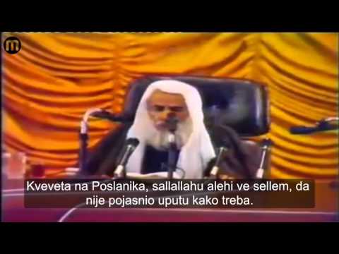 O LIJEPIM NOVOTARIJAMA - ŠEJH MUHAMED IBN SALIH EL-USEJMIN