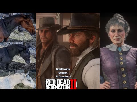 Get Braithwaite Stallion Chapter 3: Turkoman, Black or White Arabian horses Red Dead Redemption 2