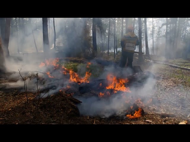 Все лесные пожары ликвидированы!