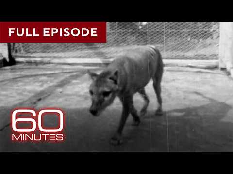 Animals that Faced Extinction | 60 Minutes Full Episodes
