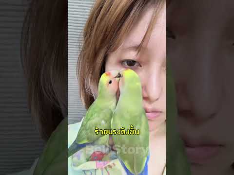 วิธีเอาหูดออกที่เสี่ยงที่สุดในโลก!
