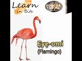 Animals in Yorùbá Language : Ẹyẹ-omi (Flamingo) #learn #animals #birds #yoruba #nigeria