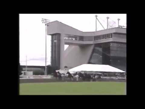 2004 Meadowlands SILVER SPRINGS Hambletonian Oaks Final George Brennan