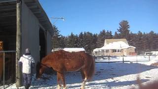 Day 3, Sunny's rear up