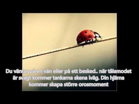 Tankar, känslor, mindfulness & tankens kraft