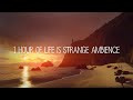 1 Hour Of Relaxing Life Is Strange Beach Ambience
