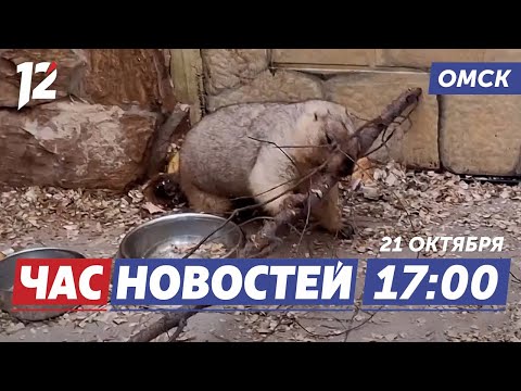 Суетливый сурок / Молодёжный форум / Ремонт дорог. Новости Омска