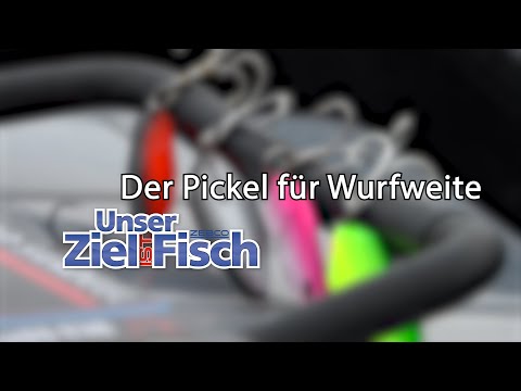 DAS ist der PICKEL aus der letzten Folge: Diamond Sandeel - Unser Ziel ist Fisch
