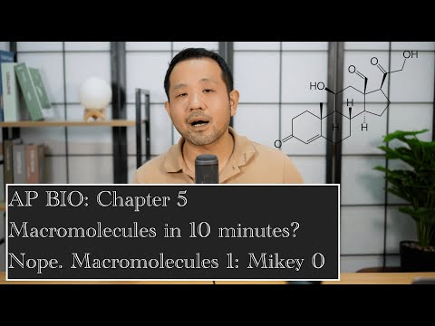 AP Biology: Macromolecules! 10 minutes? No Way! Review of Chapter 5 with Mikey!