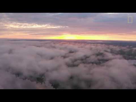 Brasil Selvagem: Biomas - Os rios voadores da Amazônia