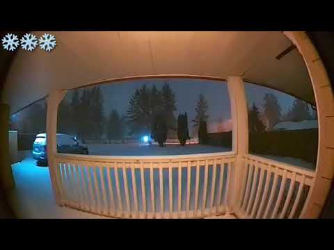 Snow in Kent, WA • 02/13/2021
