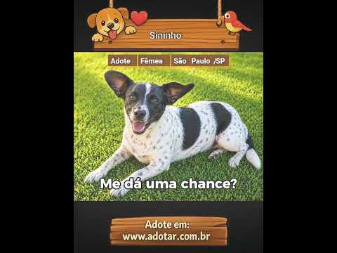 Vídeo de Sininho
